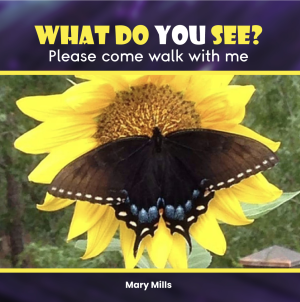 What Do You See? (Ebook)