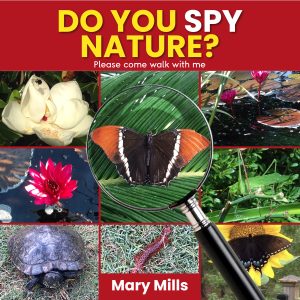 Do you spy nature?